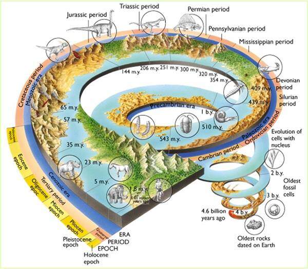 Jeolojik zamanlar gelişimi
