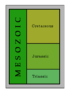 Mezozoik ve özellikleri