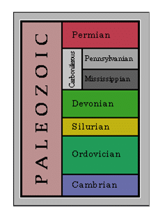 Paleozoik ve özellikleri