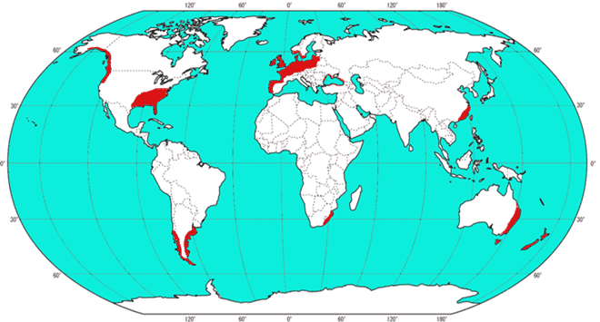 Ilıman okyanusal iklim haritası