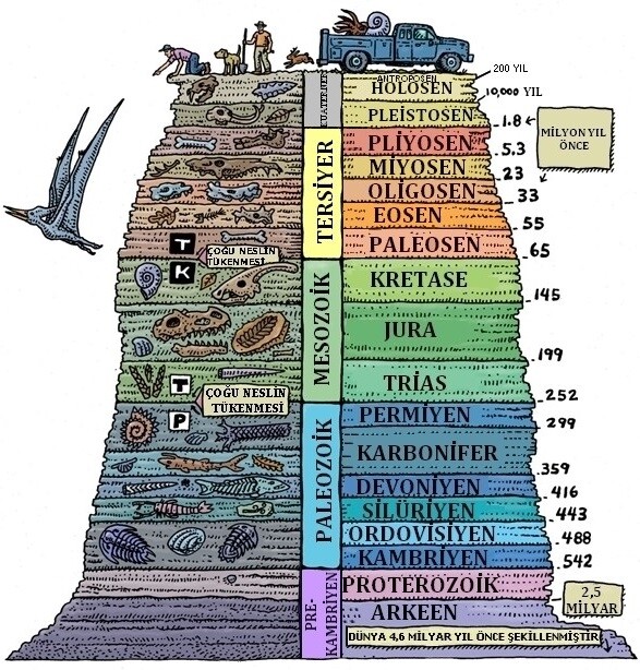 Jeolojik zamanlar piramit şekli